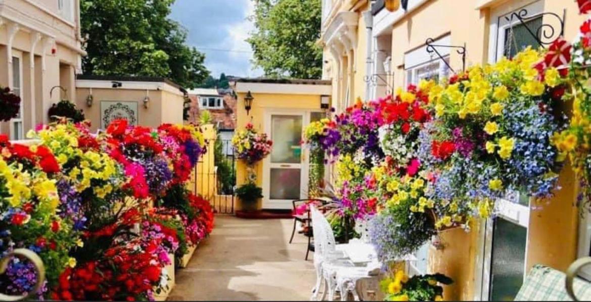 Bed and Breakfast Crowndale Torquay - Exclusively For Adults Exterior foto