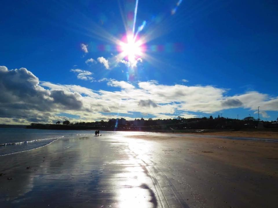 Bed and Breakfast Crowndale Torquay - Exclusively For Adults Exterior foto