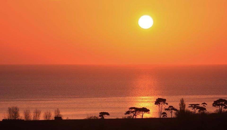 Bed and Breakfast Crowndale Torquay - Exclusively For Adults Exterior foto